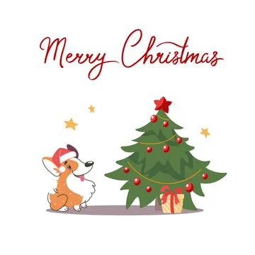 Vector postcard corgi in a santa claus hat, next to a christmas tree, and a gift Stock Illustration