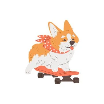 Vector poster with cartoon smiling Corgi dog enjoy ride on pink skateboard Stock Illustration
