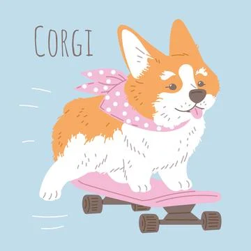 Vector poster with cartoon smiling Corgi dog enjoy ride on pink skateboard Stock Illustration