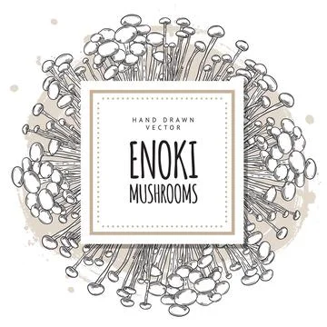 Vector poster with an empty place for text on the background of enoki mushrooms Stock Illustration