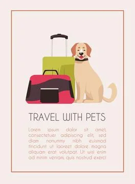Vector poster with an empty space for text for traveling with pets on vacation. Stock Illustration