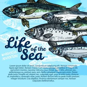 Vector poster of fish sea life or oceanarium イラスト素材