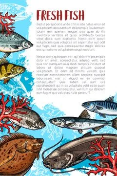 Vector poster of fresh fish or sea food イラスト素材