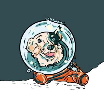 Vector poster with hand drawn dog in space suite. Funny puppy in orange jumps Stock Illustration