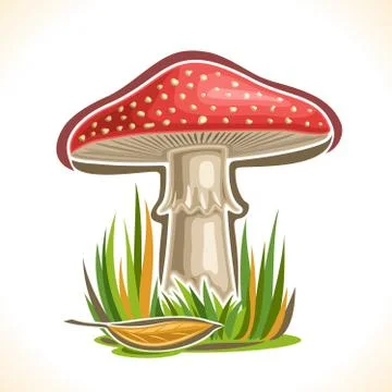 Vector poster for red Toadstool Stock Illustration