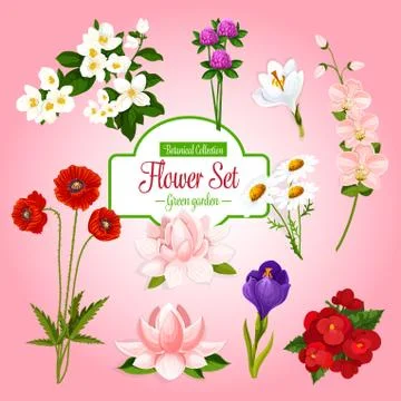 Vector poster of spring garden flowers set Stock Illustration