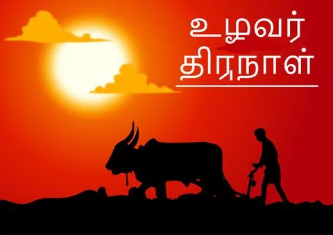 Vector Poster Of Uzhavar Thirunal Stock Illustration
