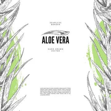 Vector poster with vertical borders depicting aloe vera, a useful plant with  Illustrazione stock