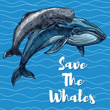 Vector poster for whales saving Stock Illustration