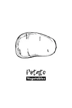 Vector potato isolated. Lines sketch. Black and white hand drawing illustration Stock Illustration