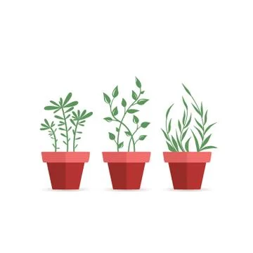 Vector potted plants Stock Illustration
