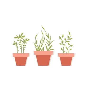 Vector potted plants Stock Illustration