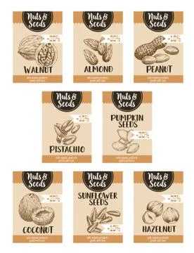 Vector price sketch posters of nuts and fruit seed Ilustración de archivo