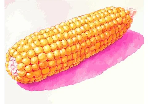 Vector print corn is golden yellow color with pink Stock Illustration