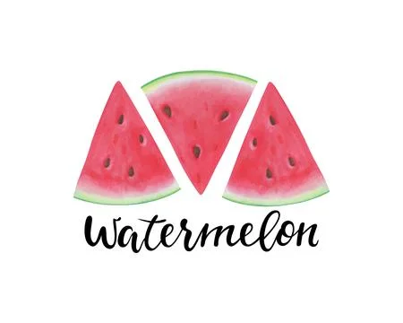Vector print with watermelon slice. The inscription, lettering watermelon. .. Stock Illustration