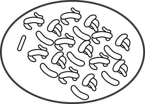 Vector probiotics bacteria line icon. Symbol and sign illustration design. Stock Illustration
