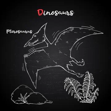 Vector Pterosaur with plant and stone on chalk blackboard. Stock Illustration