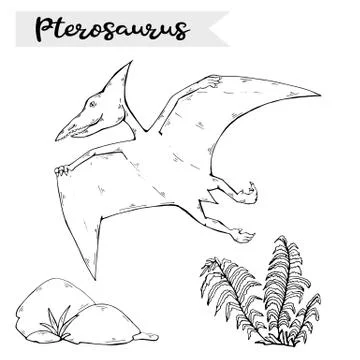 Vector Pterosaur with plant and stone over white.Jurassic Wildlife. Stock Illustration
