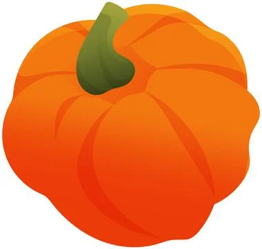 Vector pumpkin, herbaceous plant. Vegetable illustration for farm market menu Stock Illustration