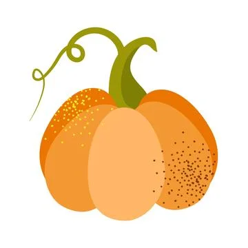 Vector pumpkin icon. Orange and yellow autumn squash. Large gourd vegetable. Stock Illustration