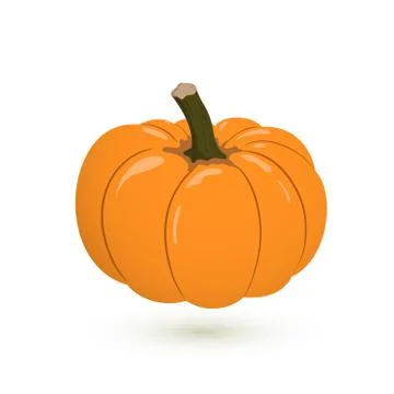 Vector pumpkin illustration isolated on white background. Stock Illustration