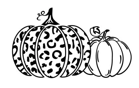 Vector pumpkin leopard Stock Illustration