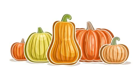 Vector Pumpkin Logo Stock Illustration