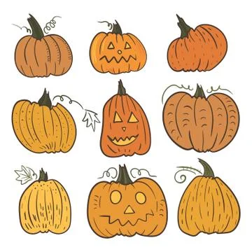 Vector Pumpkin Set Stock Illustration