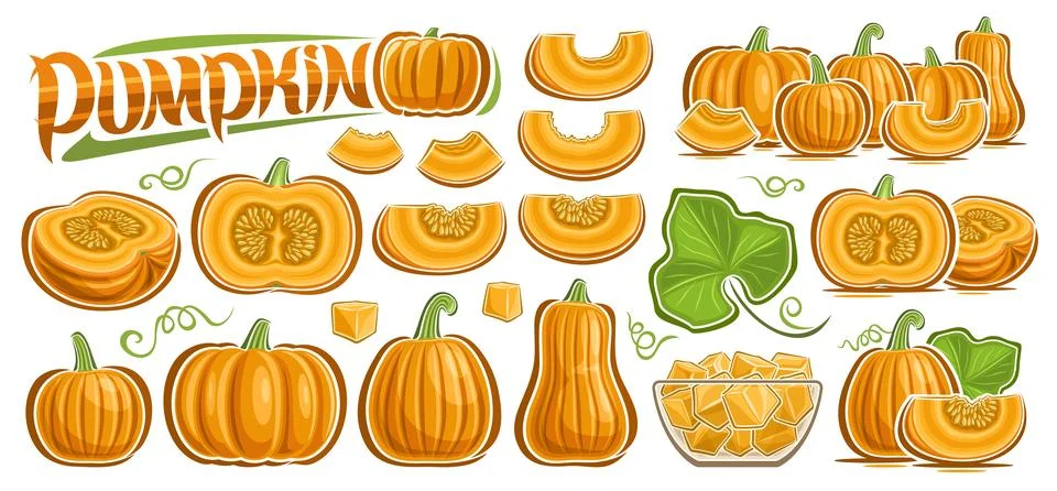 Vector Pumpkin Set Stockillustratie