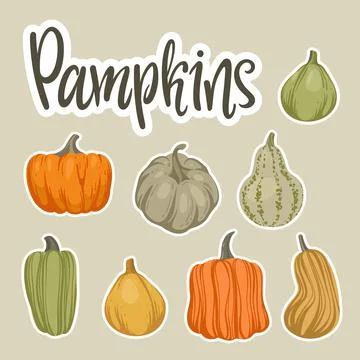 Vector pumpkin stickers with calligraauthor. Hand draw isolated vector cartoo Stock Illustration