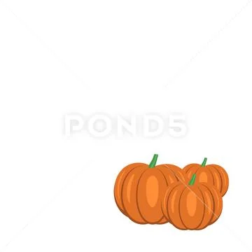 Vector of pumpkins isolated on a white background. Illustration