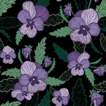 Vector purple pansy pattern on black background. Floral vector repeat seamless Stock Illustration