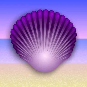 Vector purple shell illustration on the summer sea beach 스톡 일러스트