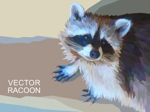 Vector racoon made of polygons. Eps 10. Stock Illustration