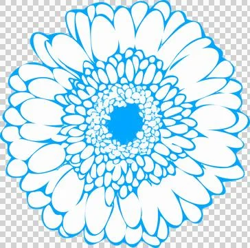 Vector radial bloom is showing white petals blue-outlined and forming core Illustrazione stock