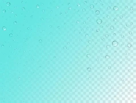 Vector rain pattern on transparent background. Pure realistic water drops Stock Illustration