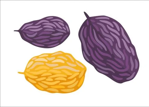 Vector raisins, Dodo collection Stock Illustration