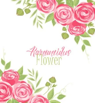 Vector ranunculus flower Stock Illustration