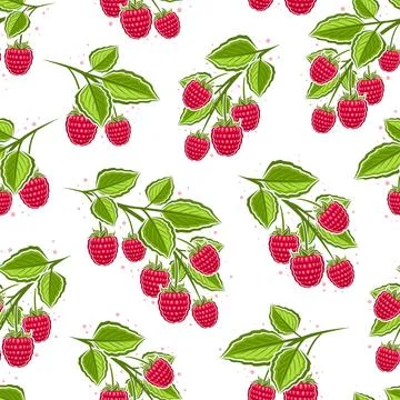 Vector Raspberry Branches seamless pattern Stock Illustration