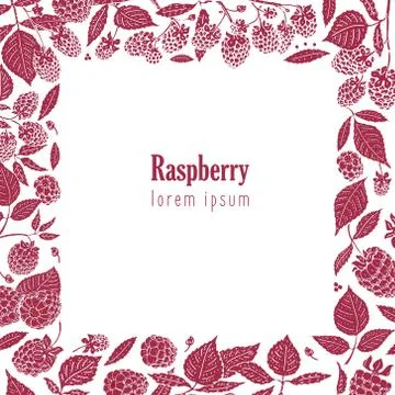 Vector raspberry frame. Can be use for background, design, invitation, bann.. Stock Illustration