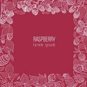 Vector raspberry frame. Can be use for background, design, invitation, bann.. Stock-Illustration
