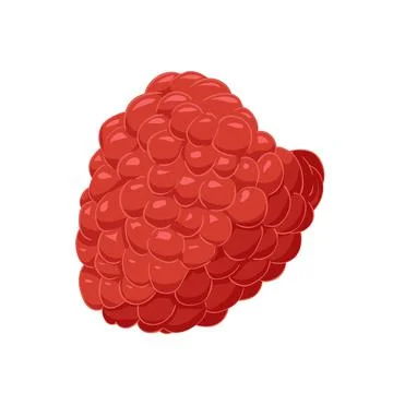 Vector raspberry. Red element berrie for design Stock Illustration