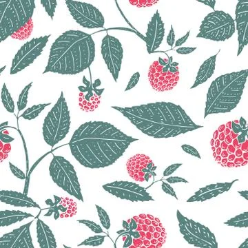 Vector raspberry seamless pattern. background, pattern, fabric design, wrap.. Illustrazione stock