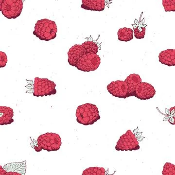 Vector raspberry seamless pattern. background, pattern, fabric design, wrap.. Stock Illustration