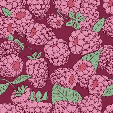 Vector raspberry seamless pattern. background, pattern, fabric design, wrap.. Stock Illustration