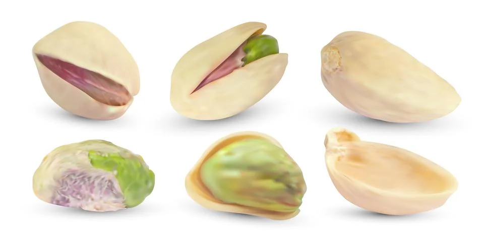 Vector raw pistachio nuts with shell. Realistic salted kernel background. Stock Illustration