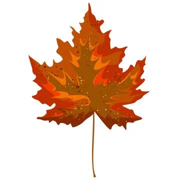 Vector realism of a stylized autumn leaf on a white background. EPS 10. Conce Stock Illustration