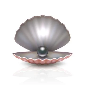 Vector realistic 3d beautiful natural opened pearl shell with black pearl inside 스톡 일러스트