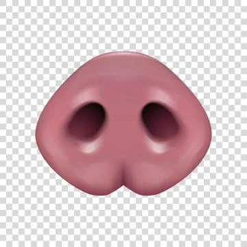 Vector realistic 3d pink funny pigs nose icon closeup isolated on transparency Stock Illustration