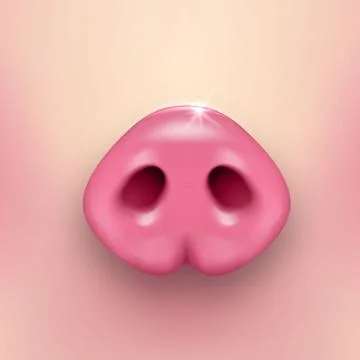 Vector realistic 3d pink funny pink pigs nose closeup on pig skin background Stock Illustration